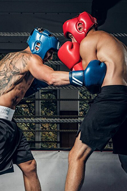 Boxing Gears