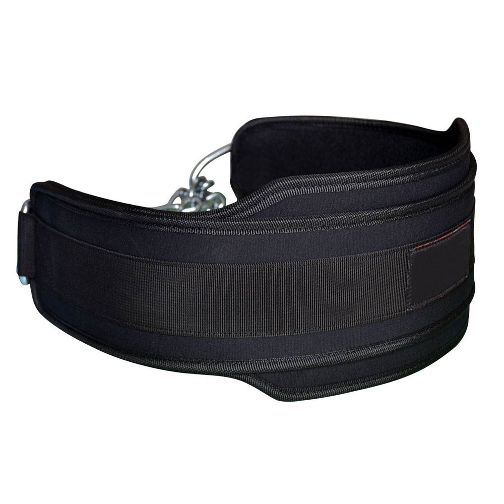 Weight Lifting Belt