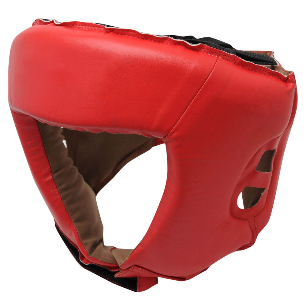 Head Guard